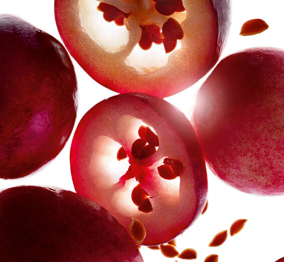 Cranberry-Biologisches Öl der Cranberry-Vaccinium macrocarpon (cranberry) seed oil