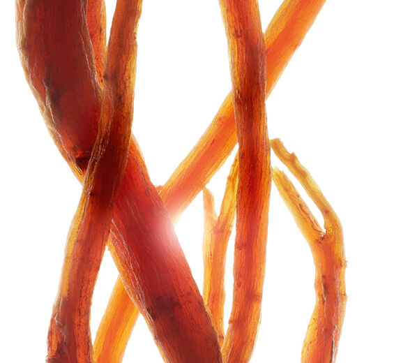 Ginseng-Biologischer Extrakt aus Rotem Ginseng-Panax ginseng root extract