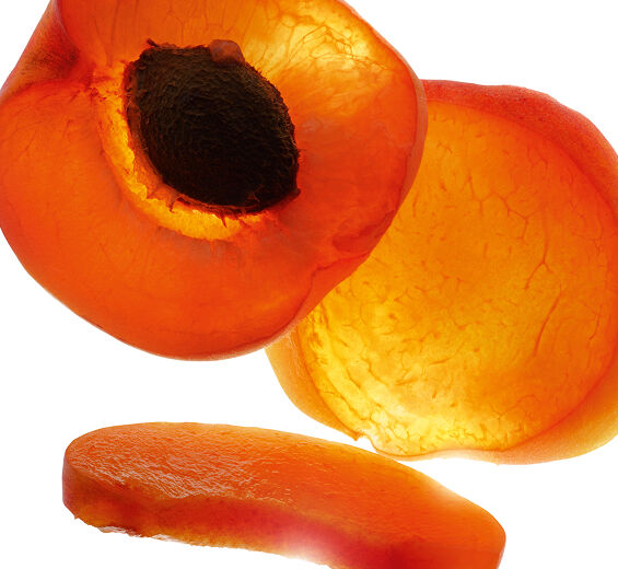 Aprikosenbaum-Biologisches Aprikosenkernöl-Prunus armeniaca (apricot) kernel oil