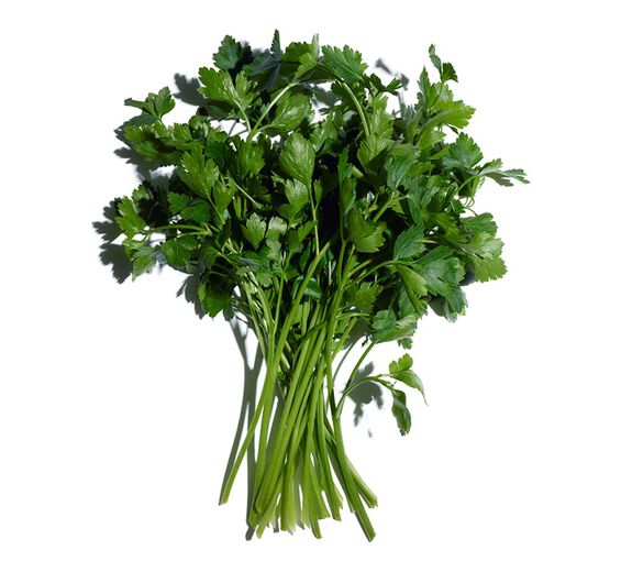 Petersilie-Ätherisches Petersilienöl-Carum petroselinum (parsley) seed oil