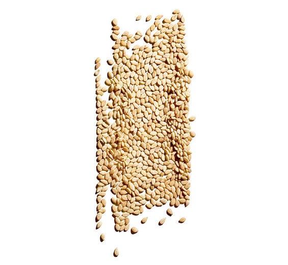 Sesamstrauch-Biologisches Sesamöl-Sesamum indicum (sesame) seed oil