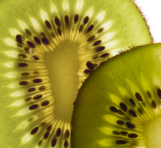 Kiwi-Biologischer Kiwi-Extrakt-Actinidia chinensis (kiwi) fruit extract
