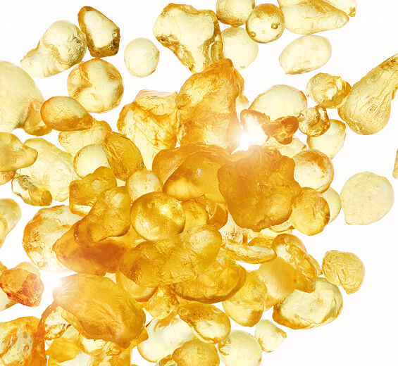Mastixstrauch-Mastix-Extrakt-Pistacia lentiscus (mastic) gum