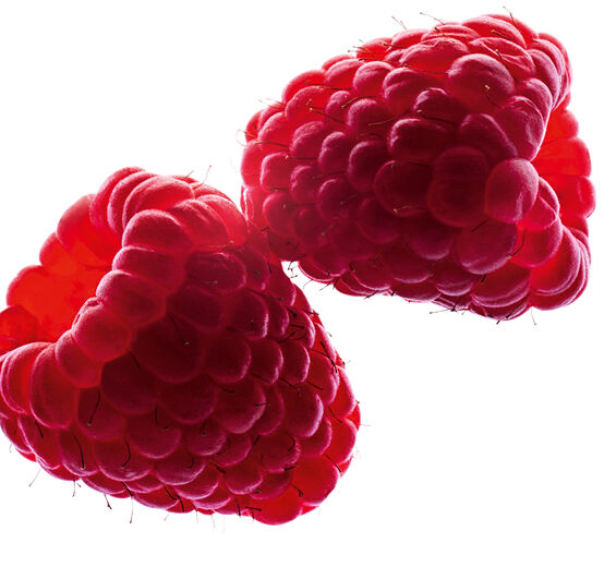 Himbeerstrauch-Himbeeröl-Rubus idaeus (raspberry) seed oil