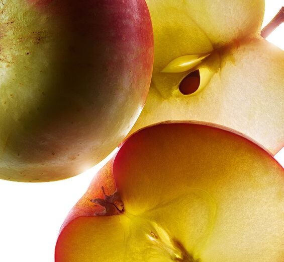 Apfelbaum-Biologischer kleiner Apfel-Extrakt-Malus Domestica Fruit Extract