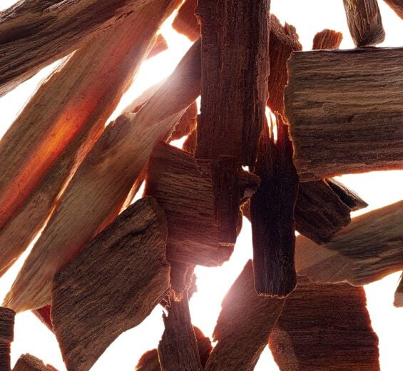 Sandelholz-Ätherisches Sandelholzöl-Santalum album (sandalwood) oil