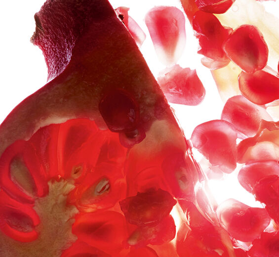 Granatapfelbaum-Granatapfel-Extrakt (Pflanze aus biologischem Anbau)-Punica granatum bark extract
