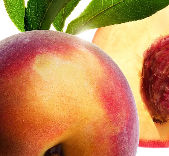 Pfirsichbaum-Pfirsichbaum-milch-Prunus persica (peach) leaf extract