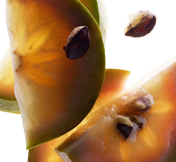 Sternapfelbaum-Vu sua-Extrakt-Chrysophyllum cainito fruit extract