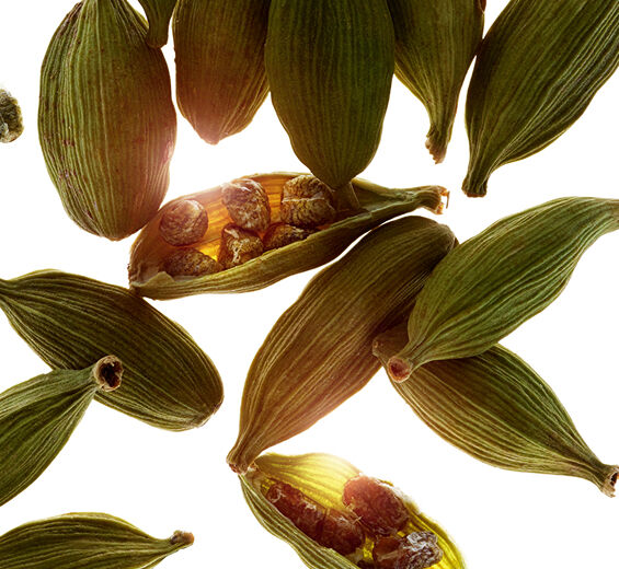 Kardamom-Ätherisches Kardamomöl-Elettaria cardamomum seed oil