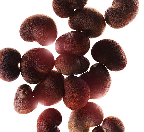 Affenbrotbaum-Biologisches Affenbrotbaumöl-Adansonia digitata seed oil