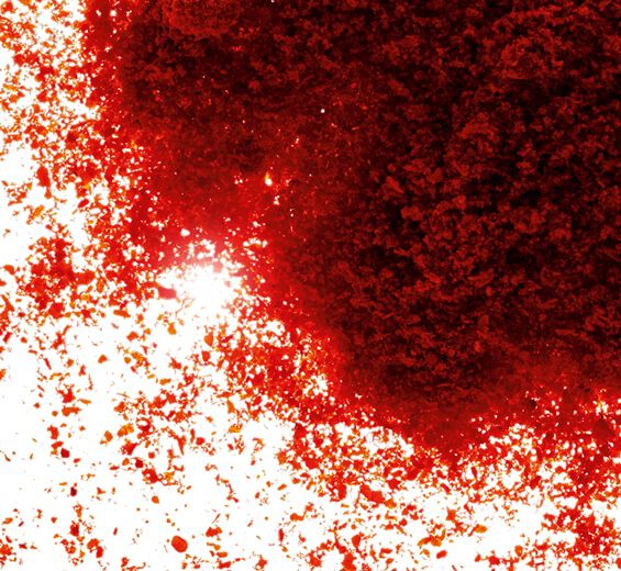 Paprika-Paprika-Extrakt-Capsicum annuum fruit extract Paprika-Paprika-Extrakt-Capsicum annuum fruit extract