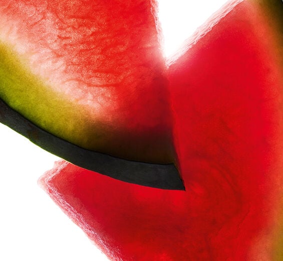 Wassermelone-Extrakt aus Wassermelone-Citrullus lanatus (watermelon) fruit extract