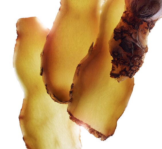 Awapuhi-Ingwer-Extrakt aus Awapuhi-Ingwer-Zingiber zerumbet extract