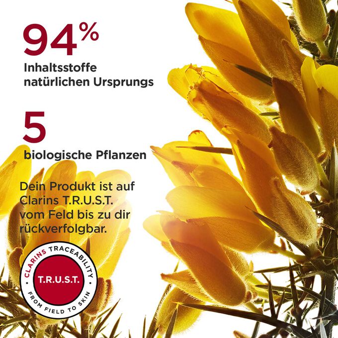 Gelbe Blüten mit Textinfo zu 94% Inhaltsstoffen natürlichen Ursprungs, 5 Bio-Pflanzen, die in der Multi-Intensive Tagescreme