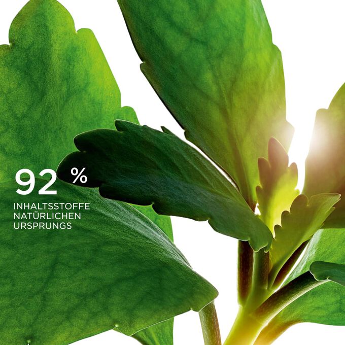 Fokus auf Bl&auml;tter, die die 92&nbsp;% Inhaltsstoffe nat&uuml;rlichen Ursprungs der Precious Linie veranschaulichen.