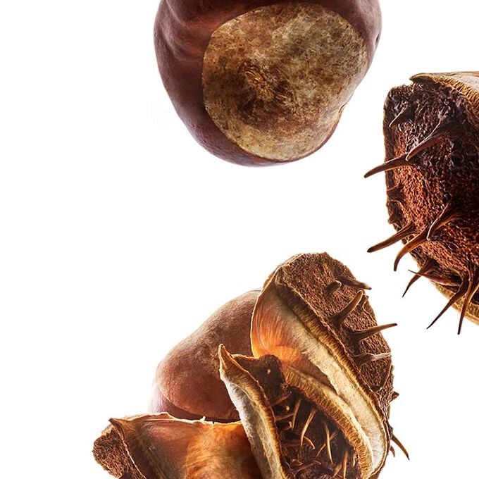 Rosskastanien und Textinfo,  82% Inhaltsstoffe der Creme sind nat&uuml;rlichen Ursprungs und 9 biologische Pflanzenextrakte.
