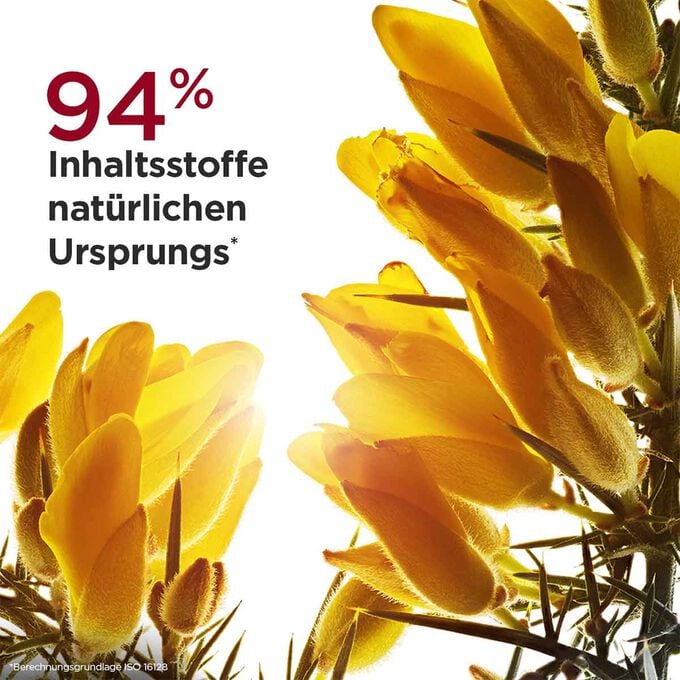 Bl&uuml;ten und Textinfo zu 94% Inhaltsstoffen nat&uuml;rlichen Ursprungs, 7 Bio-Pflanzen, in Multi-Intensive Nachtcreme  jeder Hauttyp
