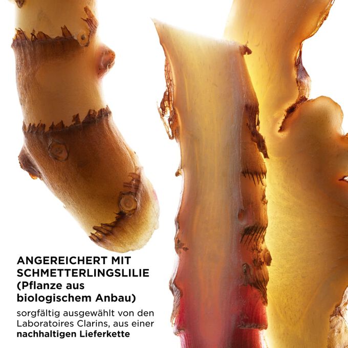 Fokus auf Ingwerscheiben, betont Hauptaktivstoffe von UV Protect, von Clarins sorgf&auml;ltig ausgew&auml;hlt und nachhaltig bezogen.