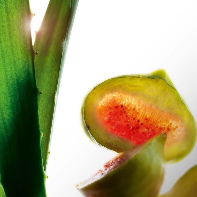 Lotion Tonique Hydratante - Feuchtigkeit spendende Gesichtslotion f&uuml;r normale bis trockene Haut