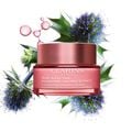Multi-Active Cr&egrave;me Nuit Toutes peaux - Gl&auml;ttende, hauterneuernde Nachtcreme f&uuml;r das Gesicht f&uuml;r jeden Hauttyp
