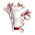 Le Soin Flash &ndash; Entwirrender &amp; Glanz spendender Conditioner