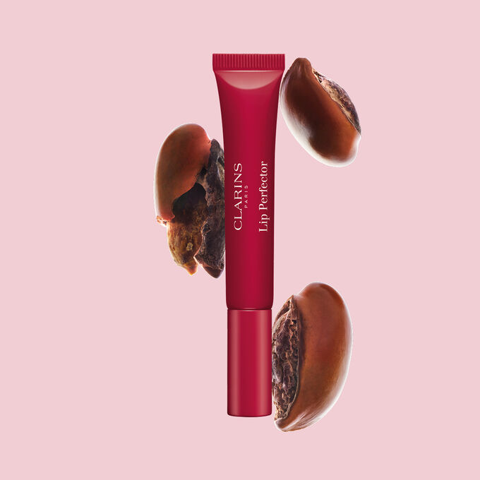 Tube Plumping Lip Perfector neben Sheasamen, um die intensive Lippenpflegeformel f&uuml;r n&auml;hrende Pflegewirkung hervorzuheben