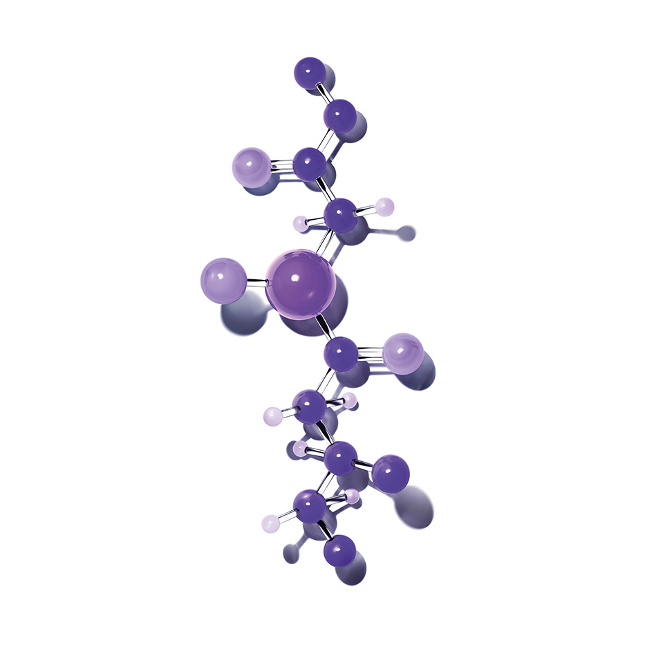 Aufpolsternde Peptide