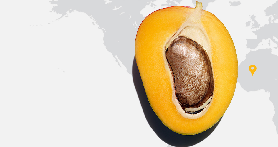 Wilder Mango