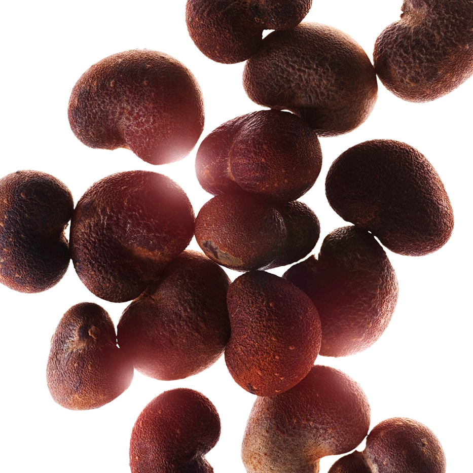 Affenbrotbaum-Affenbrotbaum- Extrakt-Hydrolyzed adansonia digitata extract