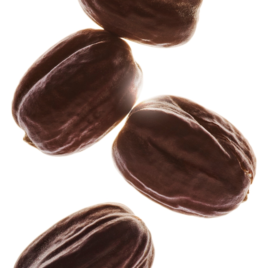 Jojoba-Biologisches Jojoba&ouml;l-Simmondsia chinensis (jojoba) seed oil