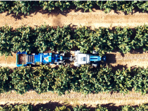 TRUST, Illustration der Plattform für Rückverfolgbarkeit der Clarins Produkte