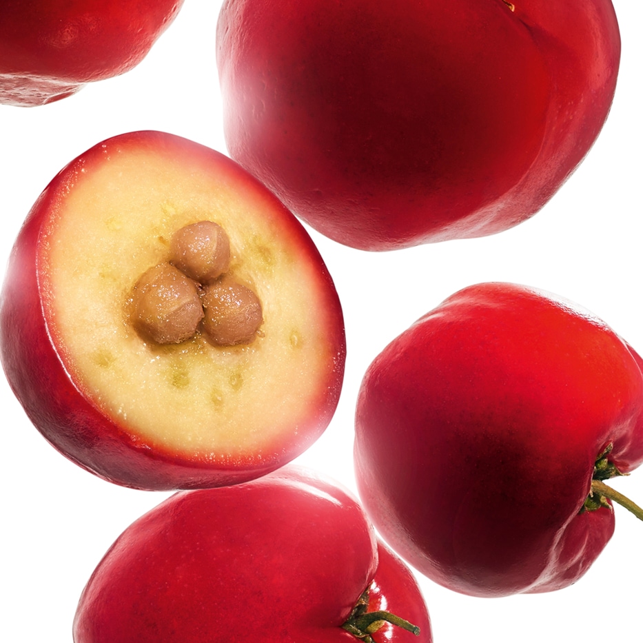 Acerola-Acerola-Extrakt-Malpighia emarginata (acerola) fruit extract