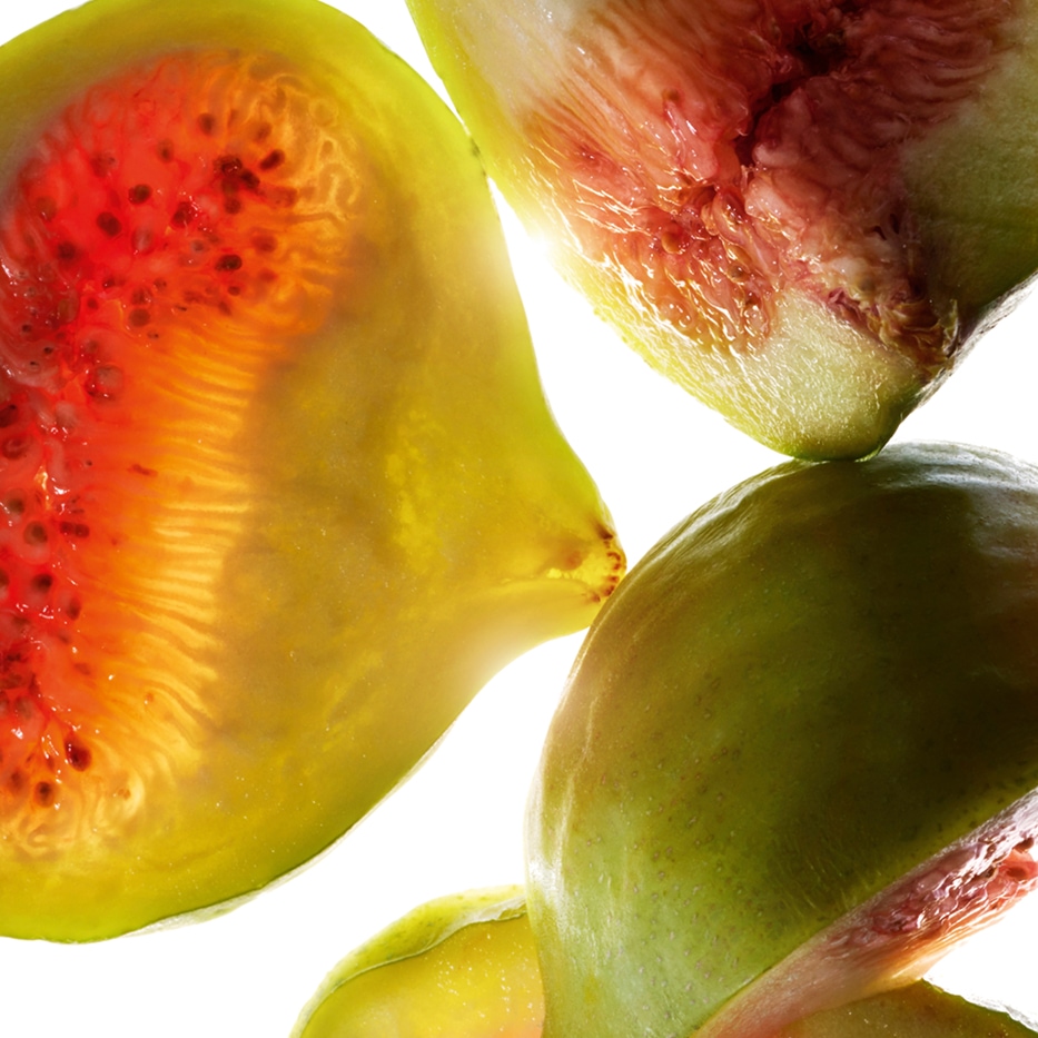 Feigenbaum-Feigenextrakt-Ficus carica (fig) fruit extract