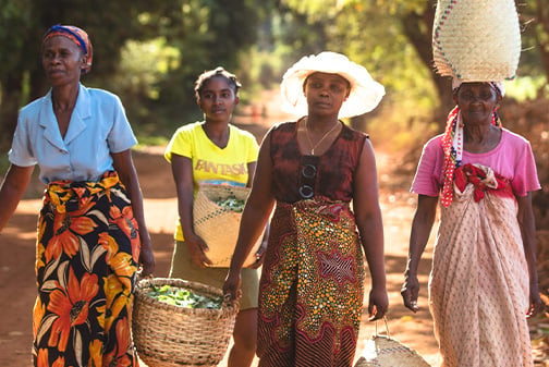 Frauen in Madagascar, die einen Korb tragen