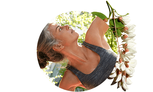 Lifestyle Yoga, Aktivstoff Seidenakazien-Extrakt