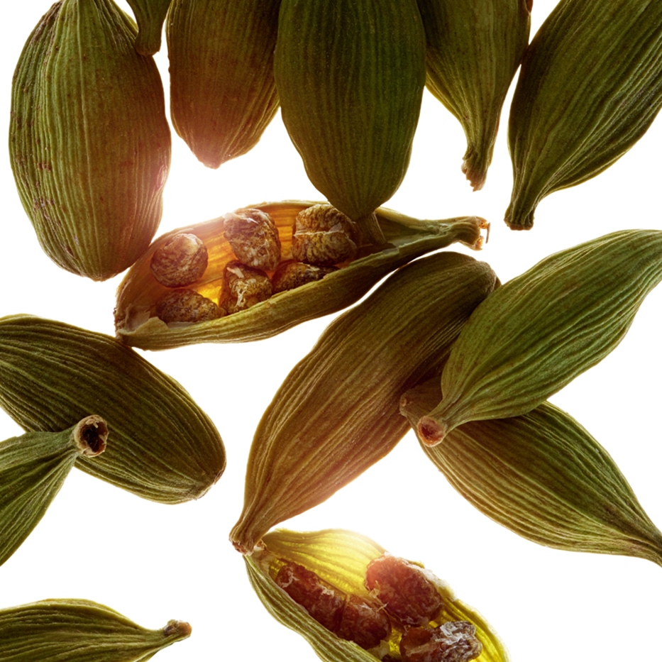 Kardamom-&Auml;therisches Kardamom&ouml;l-Elettaria cardamomum seed oil