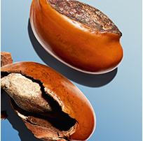 Sheabutter