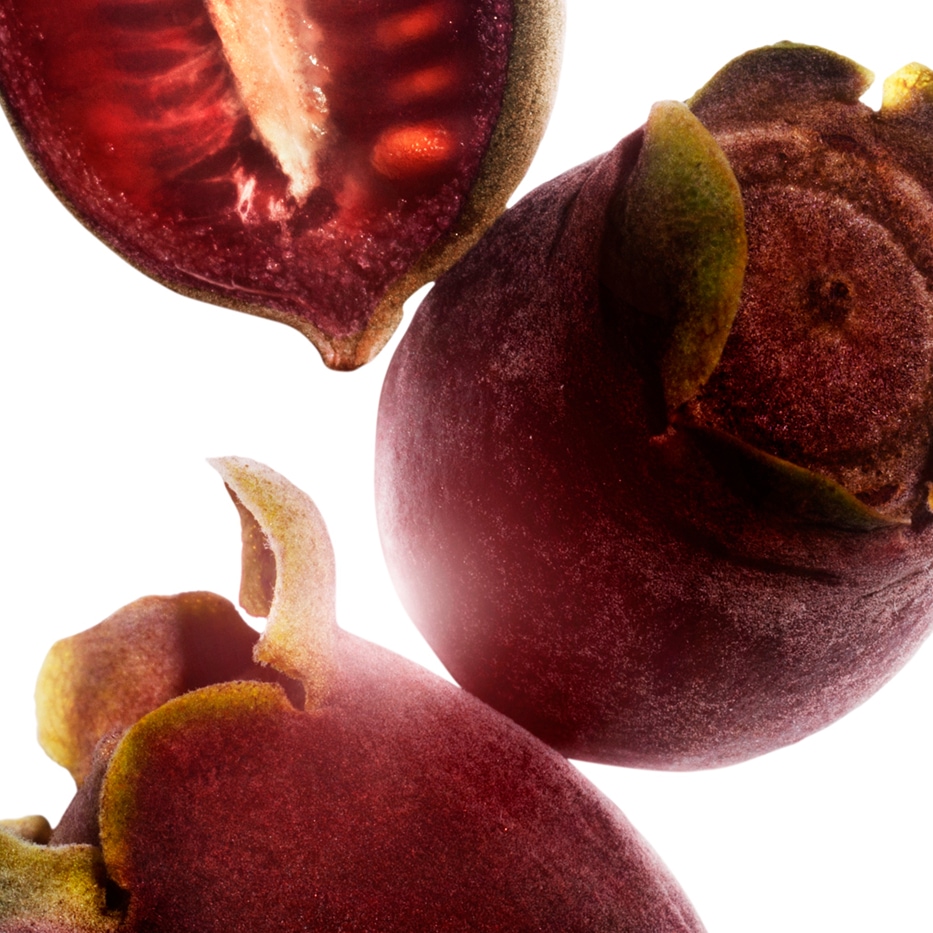 Rose-Myrtle-Rose-Myrtle-Extrakt-Rhodomyrtus tomentosa fruit extract