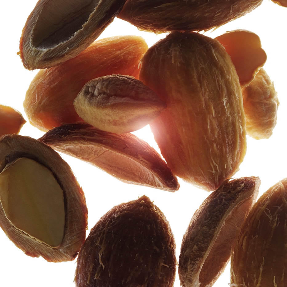 Wüstendattel-Biologischer Wüstendattel-Extrakt-Balanites roxburghii seed oil