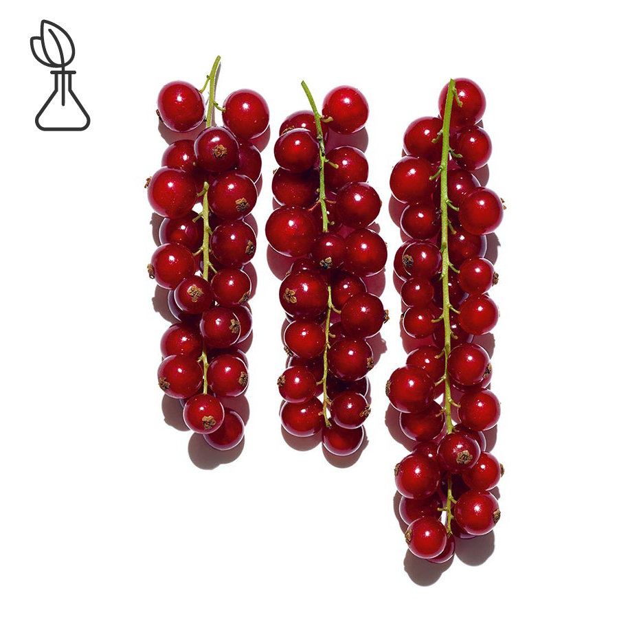 Rote Johannisbeere-Biologischer Extrakt aus Roter Johannisbeere-Ribes rubrum (currant) fruit extract